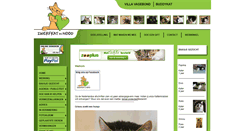 Desktop Screenshot of buddykat.be